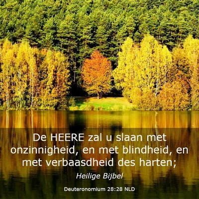 Picture 03 - Deuteronomium 28:28 NLD - De HEERE zal u slaan met onzinnigheid, en met - Bible Verse Picture