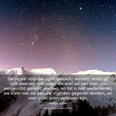 Picture 03 - Deuteronomium 28:31 NLD - Uw os zal voor uw ogen geslacht worden, maar gij - Bible Verse Picture