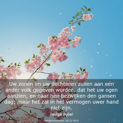 Picture 03 - Deuteronomium 28:32 NLD - Uw zonen en uw dochteren zullen aan een ander - Bible Verse Picture