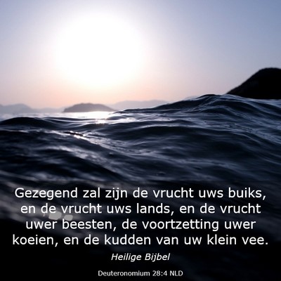 Picture 03 - Deuteronomium 28:4 NLD - Gezegend zal zijn de vrucht uws buiks, en de - Bible Verse Picture