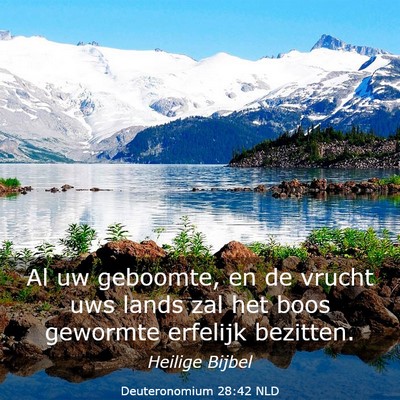 Picture 03 - Deuteronomium 28:42 NLD - Al uw geboomte, en de vrucht uws lands zal het - Bible Verse Picture
