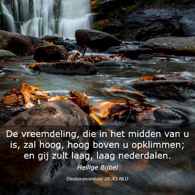 Picture 03 - Deuteronomium 28:43 NLD - De vreemdeling, die in het midden van u is, zal - Bible Verse Picture