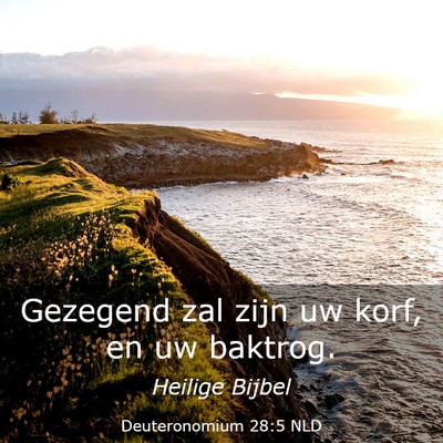 Picture 03 - Deuteronomium 28:5 NLD - Gezegend zal zijn uw korf, en uw - Bible Verse Picture