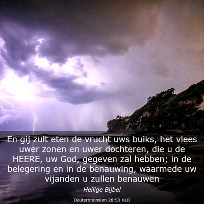 Picture 03 - Deuteronomium 28:53 NLD - En gij zult eten de vrucht uws buiks, het vlees - Bible Verse Picture