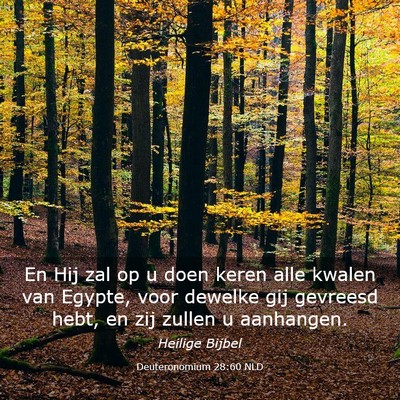 Picture 03 - Deuteronomium 28:60 NLD - En Hij zal op u doen keren alle kwalen van - Bible Verse Picture