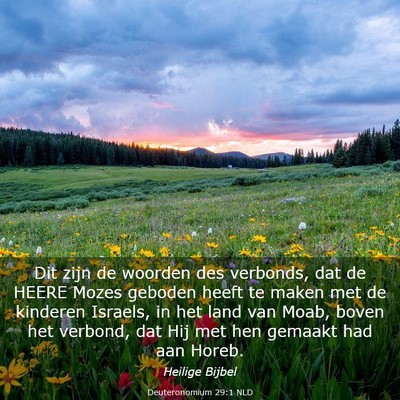 Picture 03 - Deuteronomium 29:1 NLD - Dit zijn de woorden des verbonds, dat de HEERE - Bible Verse Picture
