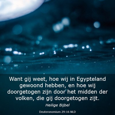 Picture 03 - Deuteronomium 29:16 NLD - Want gij weet, hoe wij in Egypteland gewoond - Bible Verse Picture
