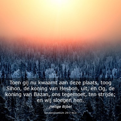 Picture 03 - Deuteronomium 29:7 NLD - Toen gij nu kwaamt aan deze plaats, toog Sihon, - Bible Verse Picture