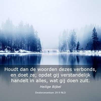 Picture 03 - Deuteronomium 29:9 NLD - Houdt dan de woorden dezes verbonds, en doet ze; - Bible Verse Picture