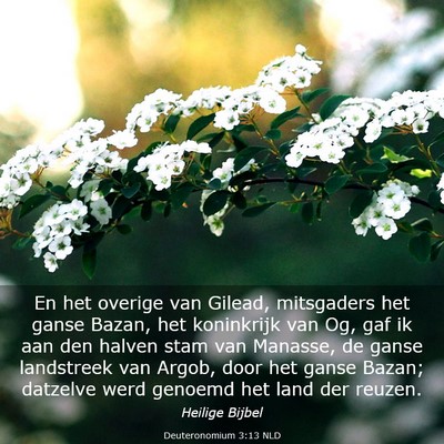 Picture 03 - Deuteronomium 3:13 NLD - En het overige van Gilead, mitsgaders het ganse - Bible Verse Picture