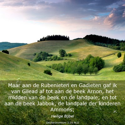 Picture 03 - Deuteronomium 3:16 NLD - Maar aan de Rubenieten en Gadieten gaf ik van - Bible Verse Picture