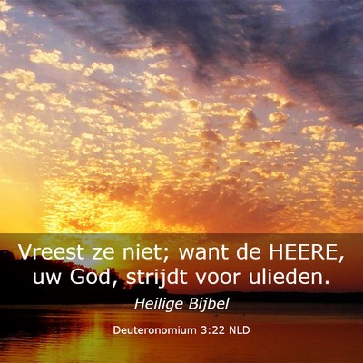 Picture 03 - Deuteronomium 3:22 NLD - Vreest ze niet; want de HEERE, uw God, strijdt - Bible Verse Picture