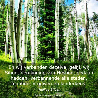 Picture 03 - Deuteronomium 3:6 NLD - En wij verbanden dezelve, gelijk wij Sihon, den - Bible Verse Picture