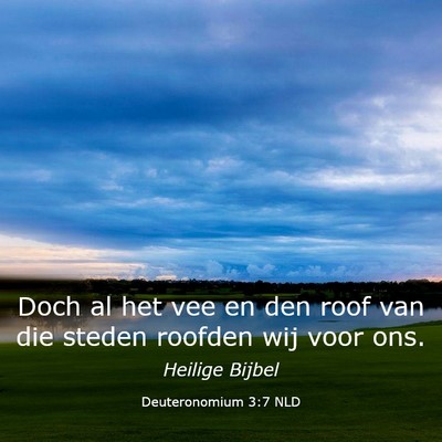 Picture 03 - Deuteronomium 3:7 NLD - Doch al het vee en den roof van die steden - Bible Verse Picture
