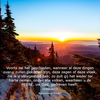 Picture 03 - Deuteronomium 30:1 NLD - Voorts zal het geschieden, wanneer al deze dingen - Bible Verse Picture