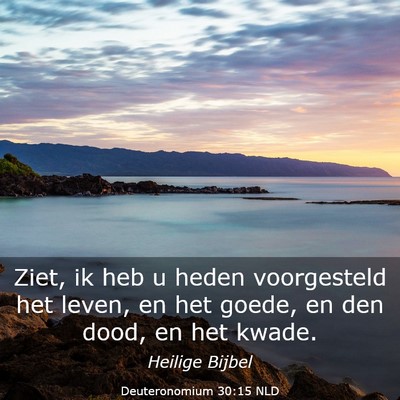 Picture 03 - Deuteronomium 30:15 NLD - Ziet, ik heb u heden voorgesteld het leven, en - Bible Verse Picture