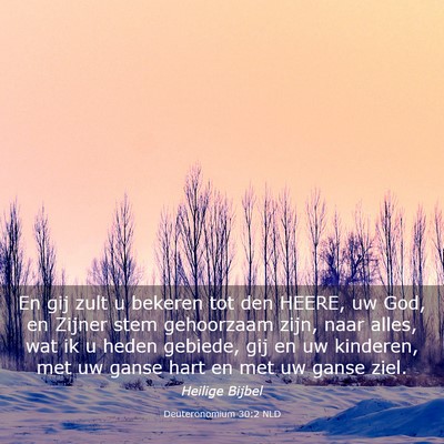 Picture 03 - Deuteronomium 30:2 NLD - En gij zult u bekeren tot den HEERE, uw God, en - Bible Verse Picture