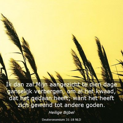 Picture 03 - Deuteronomium 31:18 NLD - Ik dan zal Mijn aangezicht te dien dage ganselijk - Bible Verse Picture