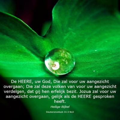 Picture 03 - Deuteronomium 31:3 NLD - De HEERE, uw God, Die zal voor uw aangezicht - Bible Verse Picture