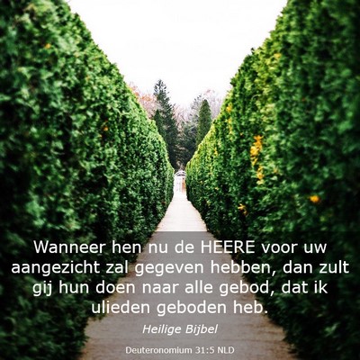 Picture 03 - Deuteronomium 31:5 NLD - Wanneer hen nu de HEERE voor uw aangezicht zal - Bible Verse Picture
