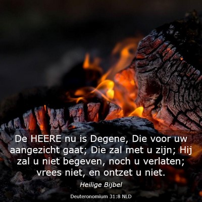 Picture 03 - Deuteronomium 31:8 NLD - De HEERE nu is Degene, Die voor uw aangezicht - Bible Verse Picture