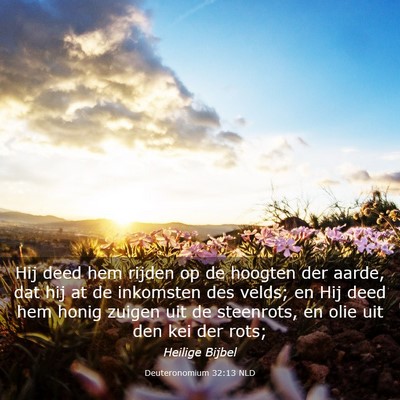 Picture 03 - Deuteronomium 32:13 NLD - Hij deed hem rijden op de hoogten der aarde, dat - Bible Verse Picture