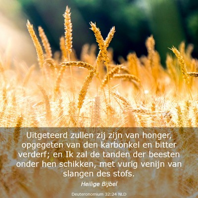 Picture 03 - Deuteronomium 32:24 NLD - Uitgeteerd zullen zij zijn van honger, opgegeten - Bible Verse Picture