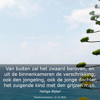 Picture 03 - Deuteronomium 32:25 NLD - Van buiten zal het zwaard beroven, en uit de - Bible Verse Picture
