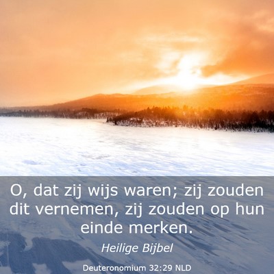 Picture 03 - Deuteronomium 32:29 NLD - O, dat zij wijs waren; zij zouden dit vernemen, - Bible Verse Picture