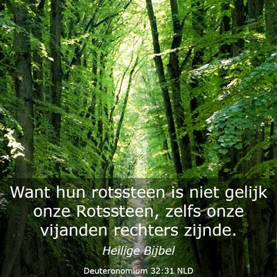 Picture 03 - Deuteronomium 32:31 NLD - Want hun rotssteen is niet gelijk onze Rotssteen, - Bible Verse Picture