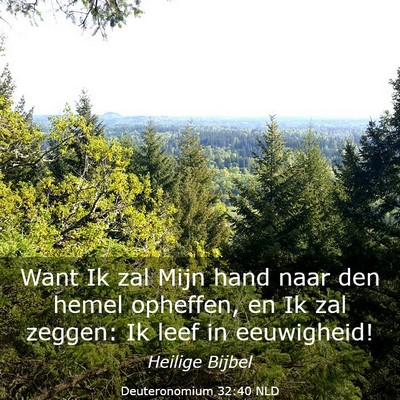 Picture 03 - Deuteronomium 32:40 NLD - Want Ik zal Mijn hand naar den hemel opheffen, en - Bible Verse Picture