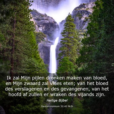 Picture 03 - Deuteronomium 32:42 NLD - Ik zal Mijn pijlen dronken maken van bloed, en - Bible Verse Picture