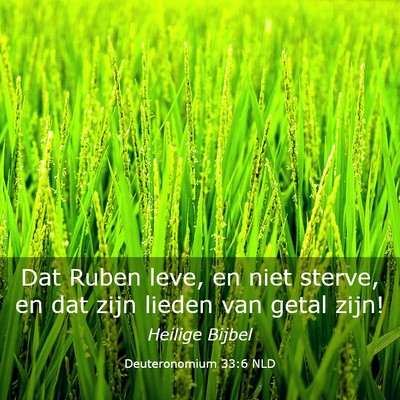Picture 03 - Deuteronomium 33:6 NLD - Dat Ruben leve, en niet sterve, en dat zijn - Bible Verse Picture