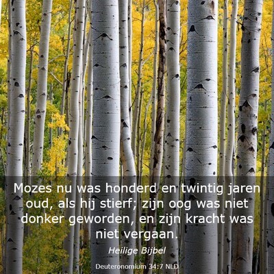 Picture 03 - Deuteronomium 34:7 NLD - Mozes nu was honderd en twintig jaren oud, als - Bible Verse Picture