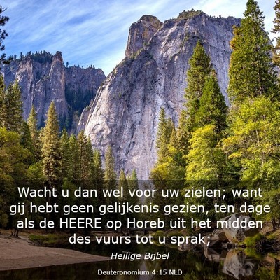 Picture 03 - Deuteronomium 4:15 NLD - Wacht u dan wel voor uw zielen; want gij hebt - Bible Verse Picture
