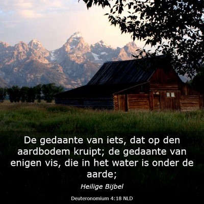 Picture 03 - Deuteronomium 4:18 NLD - De gedaante van iets, dat op den aardbodem - Bible Verse Picture