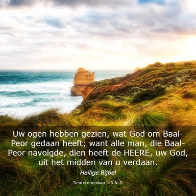 Picture 03 - Deuteronomium 4:3 NLD - Uw ogen hebben gezien, wat God om Baal-Peor - Bible Verse Picture