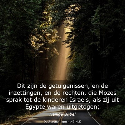 Picture 03 - Deuteronomium 4:45 NLD - Dit zijn de getuigenissen, en de inzettingen, en - Bible Verse Picture