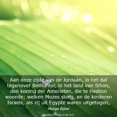 Picture 03 - Deuteronomium 4:46 NLD - Aan deze zijde van de Jordaan, in het dal - Bible Verse Picture