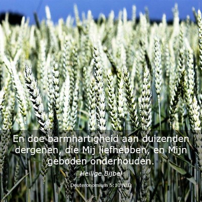 Picture 03 - Deuteronomium 5:10 NLD - En doe barmhartigheid aan duizenden dergenen, die - Bible Verse Picture