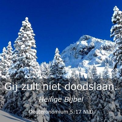 Picture 03 - Deuteronomium 5:17 NLD - Gij zult niet - Bible Verse Picture