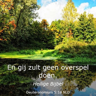 Picture 03 - Deuteronomium 5:18 NLD - En gij zult geen overspel - Bible Verse Picture