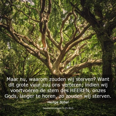 Picture 03 - Deuteronomium 5:25 NLD - Maar nu, waarom zouden wij sterven? Want dit - Bible Verse Picture
