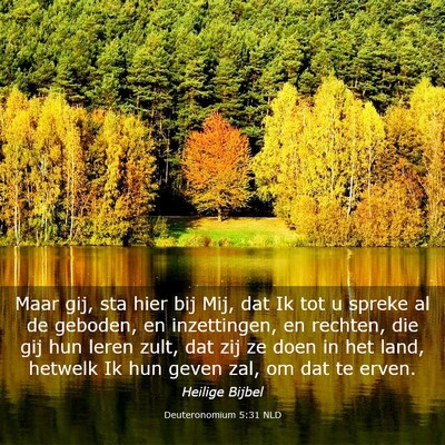 Picture 03 - Deuteronomium 5:31 NLD - Maar gij, sta hier bij Mij, dat Ik tot u spreke - Bible Verse Picture