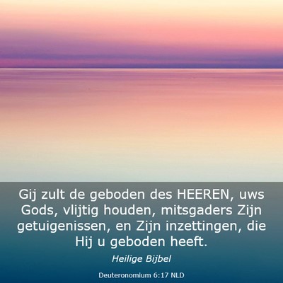 Picture 03 - Deuteronomium 6:17 NLD - Gij zult de geboden des HEEREN, uws Gods, vlijtig - Bible Verse Picture
