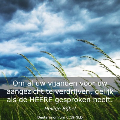 Picture 03 - Deuteronomium 6:19 NLD - Om al uw vijanden voor uw aangezicht te - Bible Verse Picture