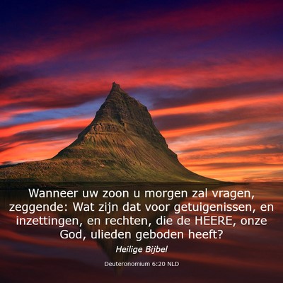 Picture 03 - Deuteronomium 6:20 NLD - Wanneer uw zoon u morgen zal vragen, zeggende: - Bible Verse Picture