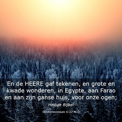 Picture 03 - Deuteronomium 6:22 NLD - En de HEERE gaf tekenen, en grote en kwade - Bible Verse Picture