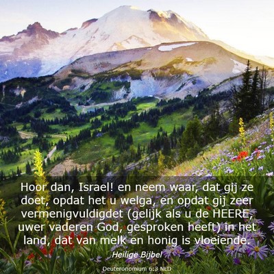 Picture 03 - Deuteronomium 6:3 NLD - Hoor dan, Israel! en neem waar, dat gij ze doet, - Bible Verse Picture
