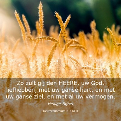 Picture 03 - Deuteronomium 6:5 NLD - Zo zult gij den HEERE, uw God, liefhebben, met uw - Bible Verse Picture